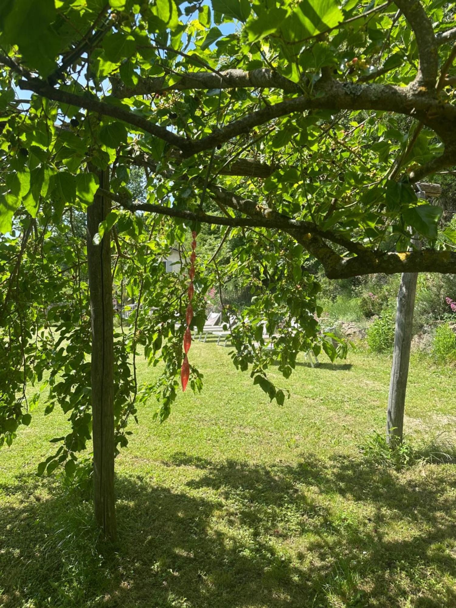 Collina Di Sopra Tresana Exterior foto